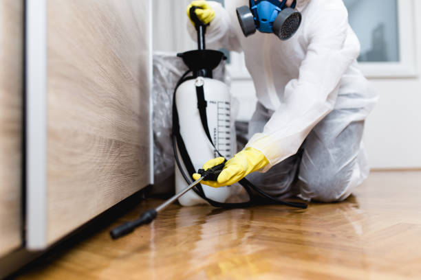 Best Best Pest Control Companies  in Britt, IA