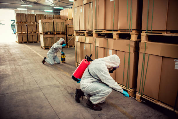 Best Commercial Pest Control Services  in Britt, IA