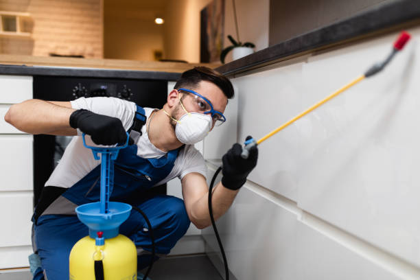 Best Commercial Pest Control Services  in Britt, IA