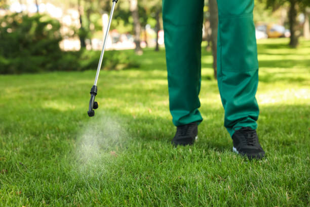 Best Local Pest Control Services  in Britt, IA
