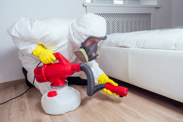 Best Pest Inspection Near Me  in Britt, IA