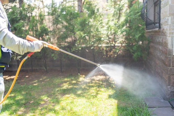 Best Affordable Pest Control Services  in Britt, IA