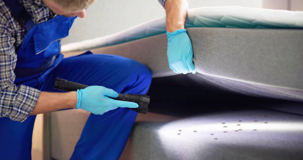Best Bed Bug Extermination  in Britt, IA