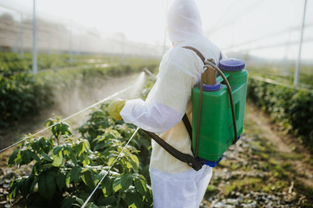 Best Exterminator Services  in Britt, IA